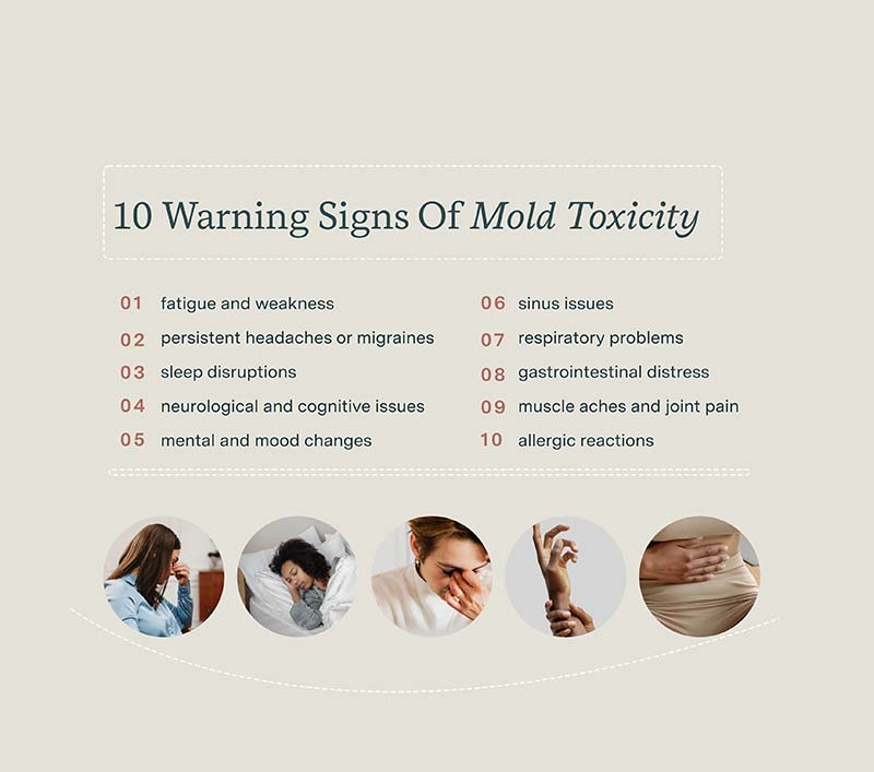 Recognizing Mold Toxicity