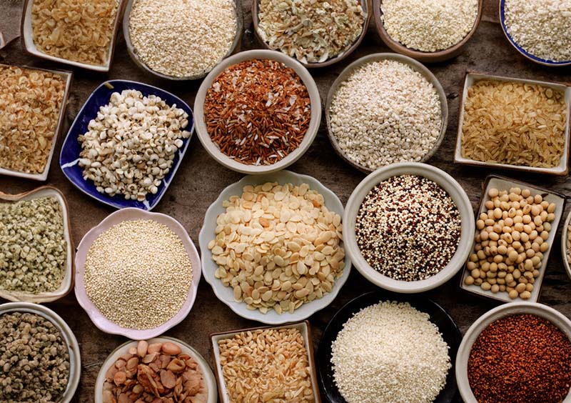 Comparing Brown Rice and Other Cereals in Digestibility