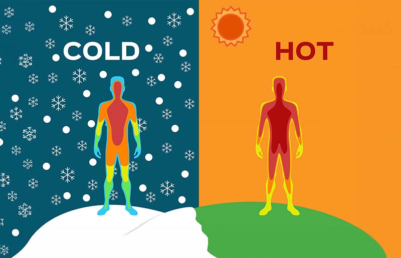 How Your Body Regulates Temperature?
