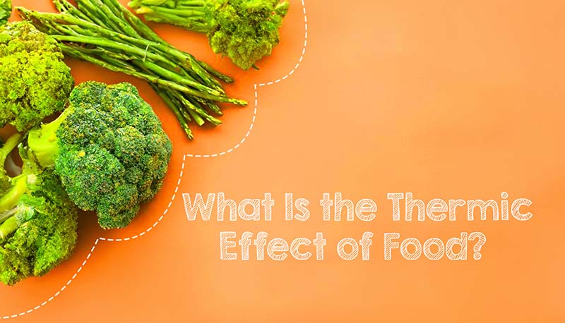 Thermic Effect of Food