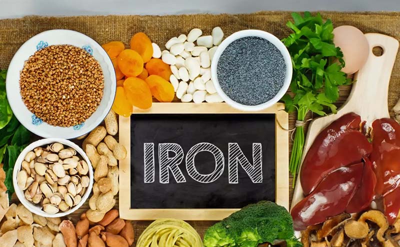 Foods Rich in Iron