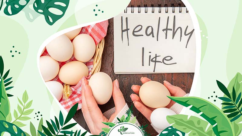 Nutritional Composition and Value of Eggs