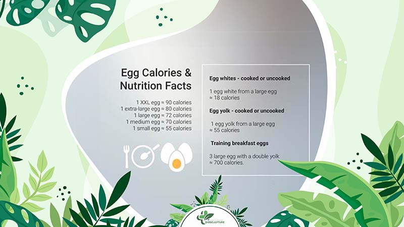 How Many Calories Are in an Egg