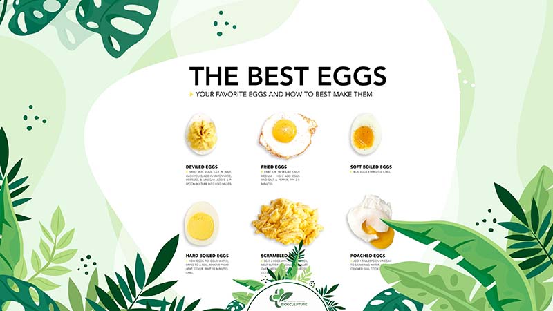 What Is the Best Way to Eat Eggs for Weight Loss
