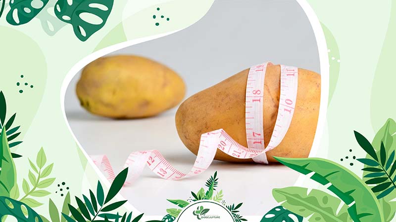 Is the Potato Diet a Healthy Choice for You