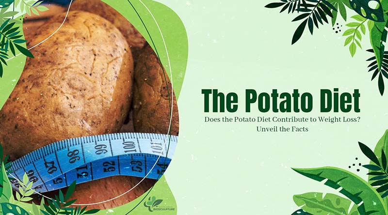 Does the Potato Diet Contribute to Weight Loss