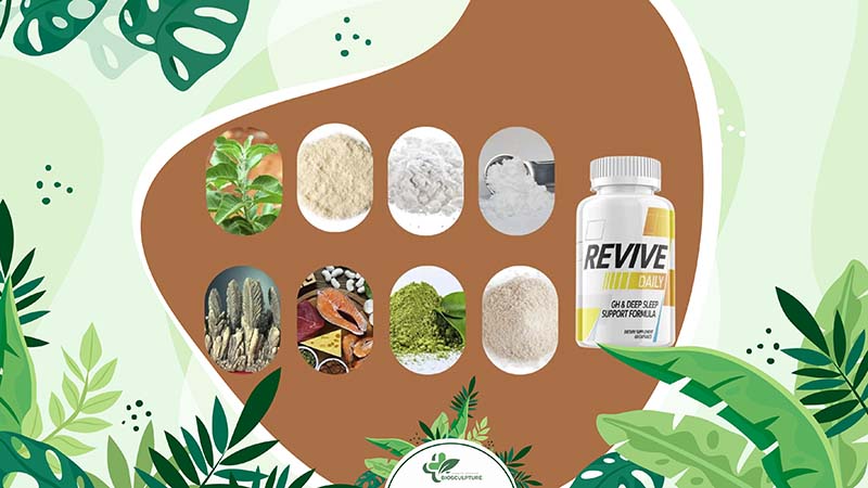 Ingredients Found in Revive Daily's Formula