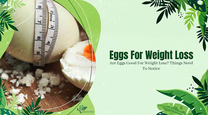 Are Eggs Good For Weight Loss
