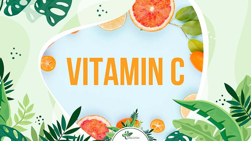 Role of Vitamin C in the Body