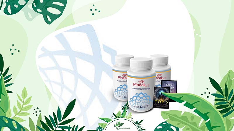 Pros and Cons About Pineal XT Supplements