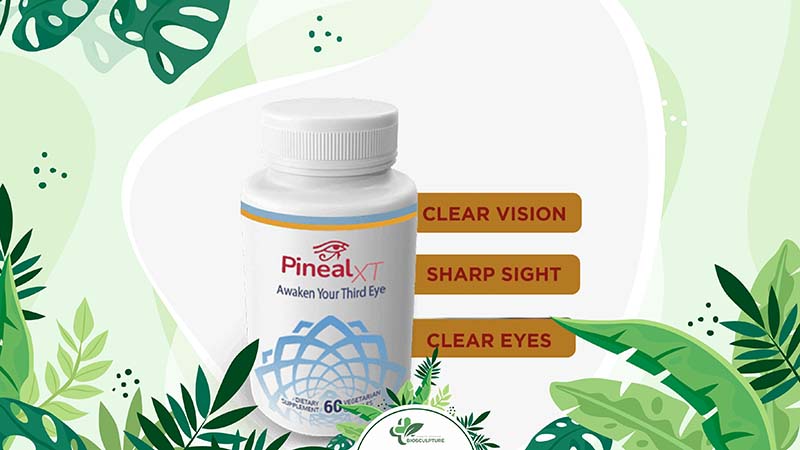 How Does Pineal XT Benefit Your Pineal Gland